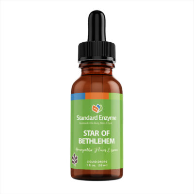 STAR OF BETHLEHEM